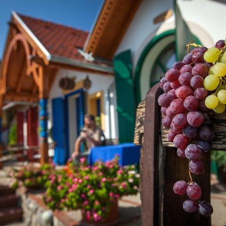 Bagoly Pincesor Fogado Bed and Breakfast Πετς Εξωτερικό φωτογραφία