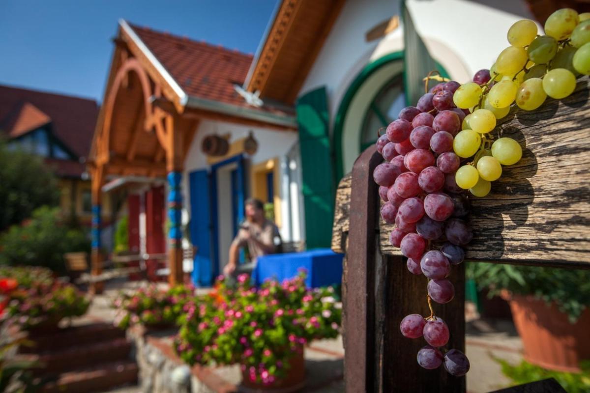 Bagoly Pincesor Fogado Bed and Breakfast Πετς Εξωτερικό φωτογραφία