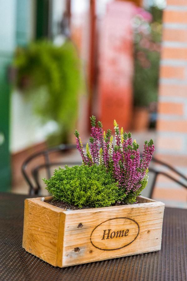 Bagoly Pincesor Fogado Bed and Breakfast Πετς Εξωτερικό φωτογραφία