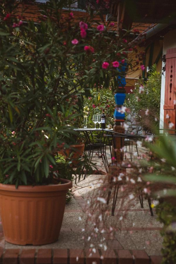 Bagoly Pincesor Fogado Bed and Breakfast Πετς Εξωτερικό φωτογραφία
