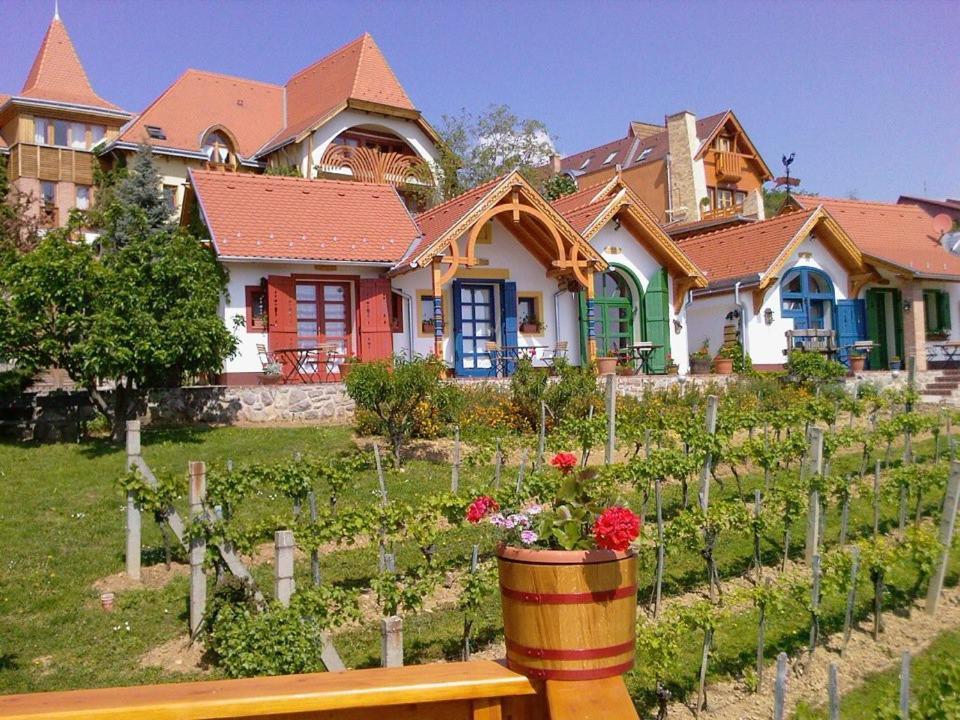 Bagoly Pincesor Fogado Bed and Breakfast Πετς Εξωτερικό φωτογραφία
